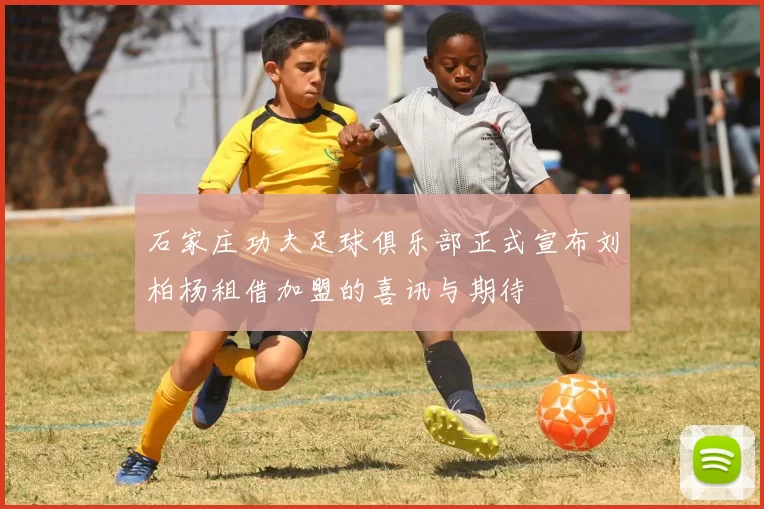 石家庄功夫足球俱乐部正式宣布刘柏杨租借加盟的喜讯与期待