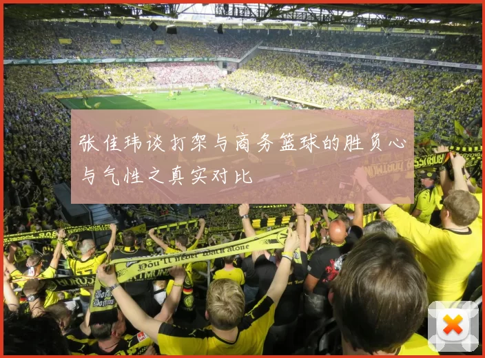 张佳玮谈打架与商务篮球的胜负心与气性之真实对比